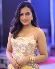 Actress Catherine Tresa at Phani Movie Press Meet Photos 40