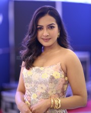 Actress Catherine Tresa at Phani Movie Press Meet Photos 41