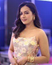 Actress Catherine Tresa at Phani Movie Press Meet Photos 42