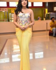 Actress Catherine Tresa at Phani Movie Press Meet Photos 49