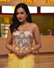 Actress Catherine Tresa at Phani Movie Press Meet Photos 51