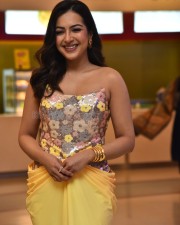 Actress Catherine Tresa at Phani Movie Press Meet Photos 55