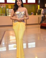 Actress Catherine Tresa at Phani Movie Press Meet Photos 57