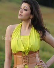 Actress Kajal Agarwal Hot Photos