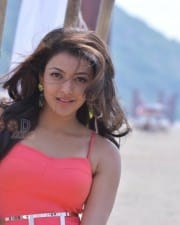 Actress Kajal Agarwal Temper Movie Photos