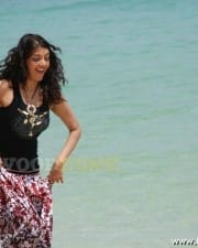 Actress Kajal Hot Sexy Photos