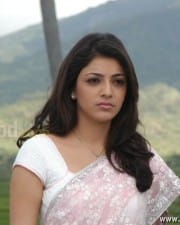 Actress Kajal Sexy Photos