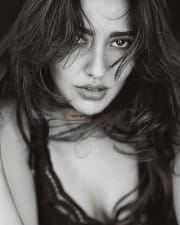 Actress Neha Sharma Hot Spicy Photoshoot Pictures