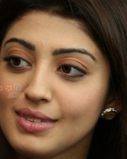 Actress Praneetha Latest Photos