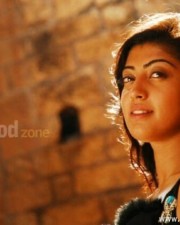 Actress Pranitha Hot Stills