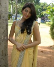 Actress Pranitha Saree Pictures