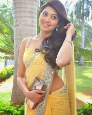 Actress Pranitha Sexy Saree Pics