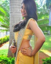 Actress Pranitha Sexy Saree Pics