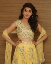 Actress Pranitha Subhash At Hello Guru Prema Kosame Success Meet Photos