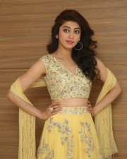 Actress Pranitha Subhash At Hello Guru Prema Kosame Success Meet Photos