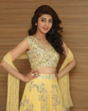 Actress Pranitha Subhash At Hello Guru Prema Kosame Success Meet Photos