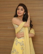 Actress Pranitha Subhash At Hello Guru Prema Kosame Success Meet Photos