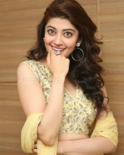 Actress Pranitha Subhash At Hello Guru Prema Kosame Success Meet Photos