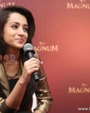 Actress Trisha At Magnum Event Photos