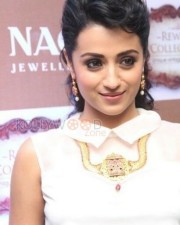 Actress Trisha At The Launch Of New Nac Store Photos