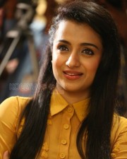 Actress Trisha At Thoonga Vanam Event Pictures