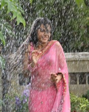 Actress Trisha Wet Saree Photos