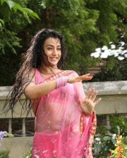 Actress Trisha Wet Saree Photos