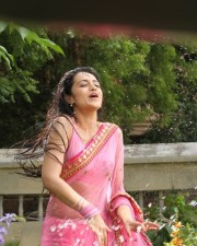 Actress Trisha Wet Saree Photos