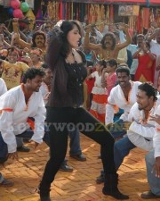 Anushka Shetty Sexy Pics In Panchakshari Movie