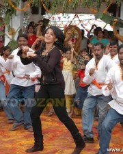 Anushka Shetty Sexy Pics In Panchakshari Movie