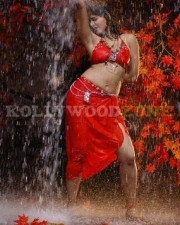 Anushka Shetty Sexy Stills