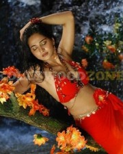 Anushka Shetty Sexy Stills