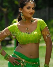 Anushka Shetty Sexy Stills