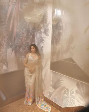 Attractive Janhvi Kapoor in a Sheer Floral Saree Pictures 02