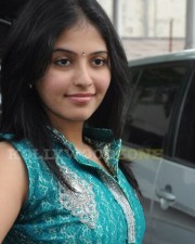 Beautiful Actress Anjali Photos