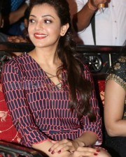 Beautiful Kajal Agarwal Pictures