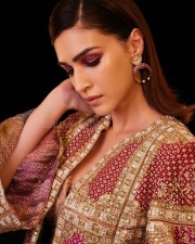 Beautiful Kriti Sanon in a Traditional Dress Pictures 02