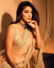 Beautiful Pooja Hegde in a Shimmery Golden Saree Pictures 05