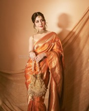 Beautiful Raashi Khanna in a Traditional Silk Saree with Sleeveless Golden Blouse Pictures 03