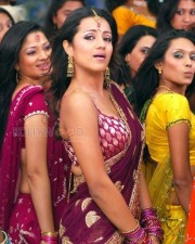 Beautiful Sexy Trisha Pictures