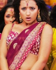 Beautiful Sexy Trisha Pictures