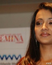 Beautiful Trisha Pictures