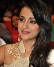 Beautiful Trisha Saree Photos