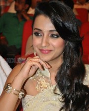 Beautiful Trisha Saree Photos