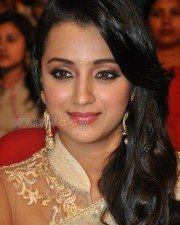 Beautiful Trisha Saree Photos