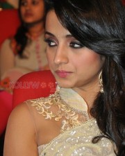 Beautiful Trisha Saree Photos