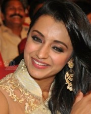 Beautiful Trisha Saree Photos