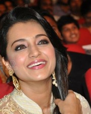 Beautiful Trisha Saree Photos