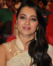 Beautiful Trisha Saree Photos