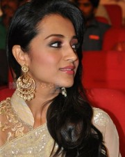 Beautiful Trisha Saree Photos